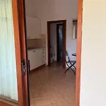 Uliveto