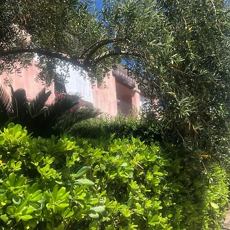 Appartement Uliveto